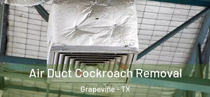  Air Duct Cockroach Removal Grapevine - TX