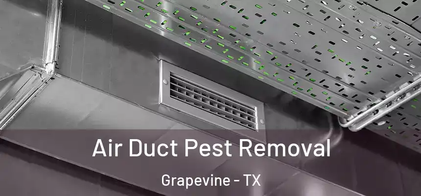  Air Duct Pest Removal Grapevine - TX