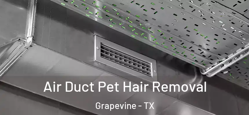 Air Duct Pet Hair Removal Grapevine - TX