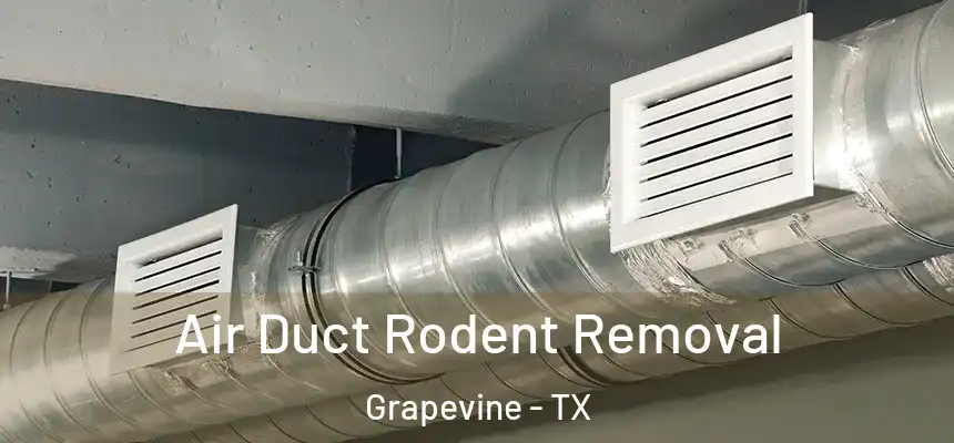 Air Duct Rodent Removal Grapevine - TX