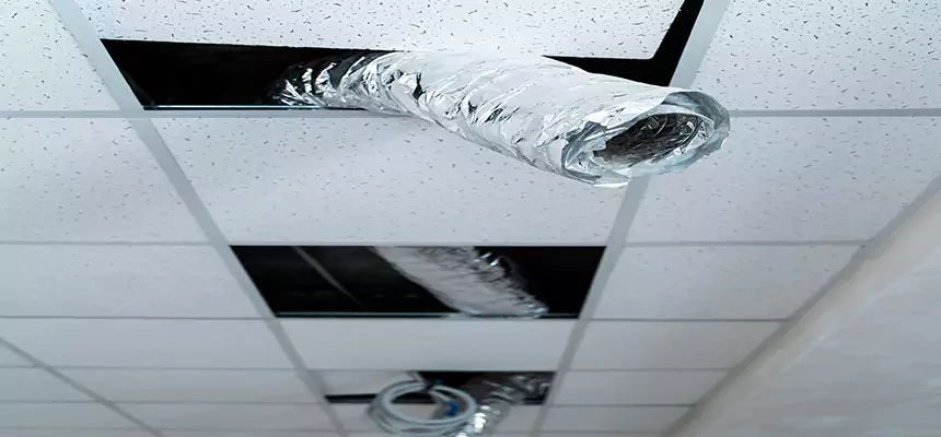 Affordable HVAC Sanitizing After Pest Removal in Grapevine