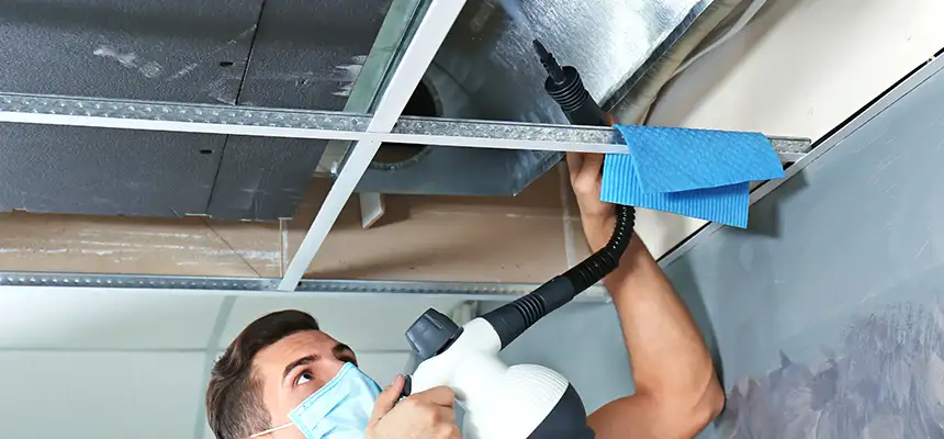 Our Air Duct Rodent Removal Services in Grapevine, TX