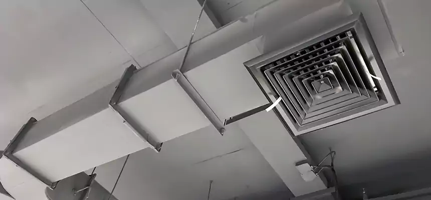 Restorative Allergy Relief Vent Cleaning – Coil, Blower & Housing Detail in Grapevine