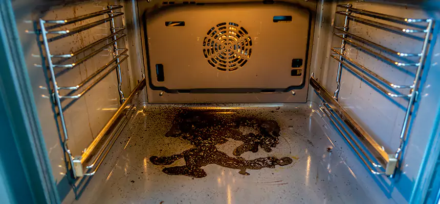 Our Dryer Vent Mold Cleaning Services in Grapevine, TX