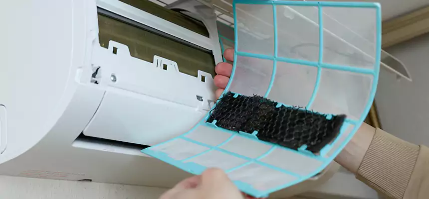 Gentle Ductwork Odor-Control Pet Dander Duct Cleaning in Grapevine, TX