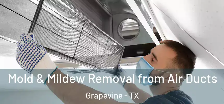  Mold & Mildew Removal from Air Ducts Grapevine - TX