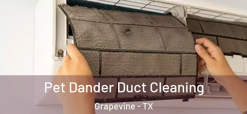  Pet Dander Duct Cleaning Grapevine - TX