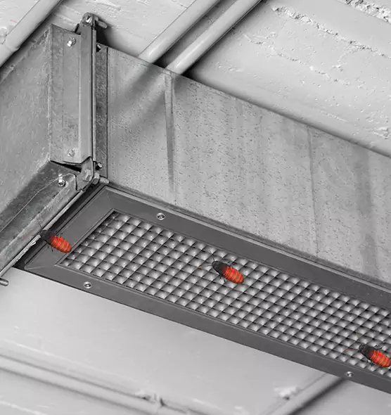 Affordable Insect Removal from Air Ducts in Grapevine, TX