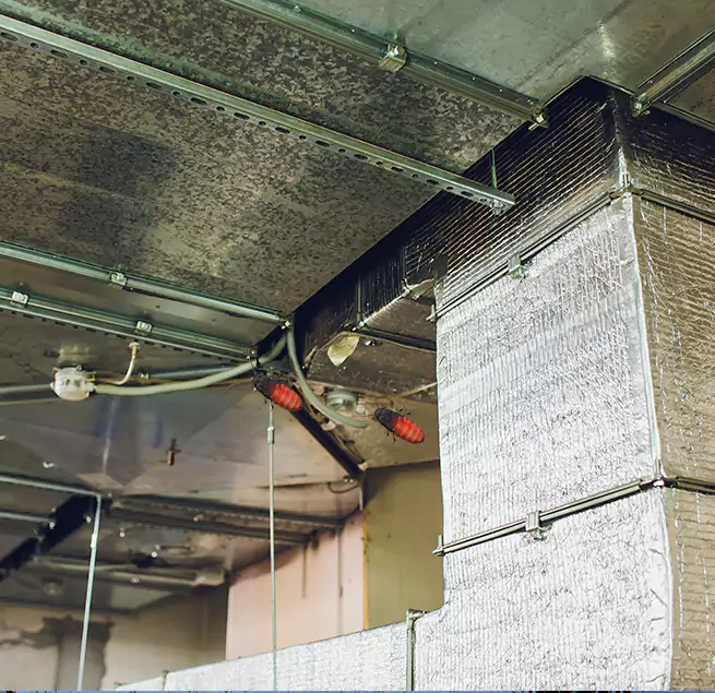 Why Homeowners & Businesses Trust Us in Grapevine, TX?