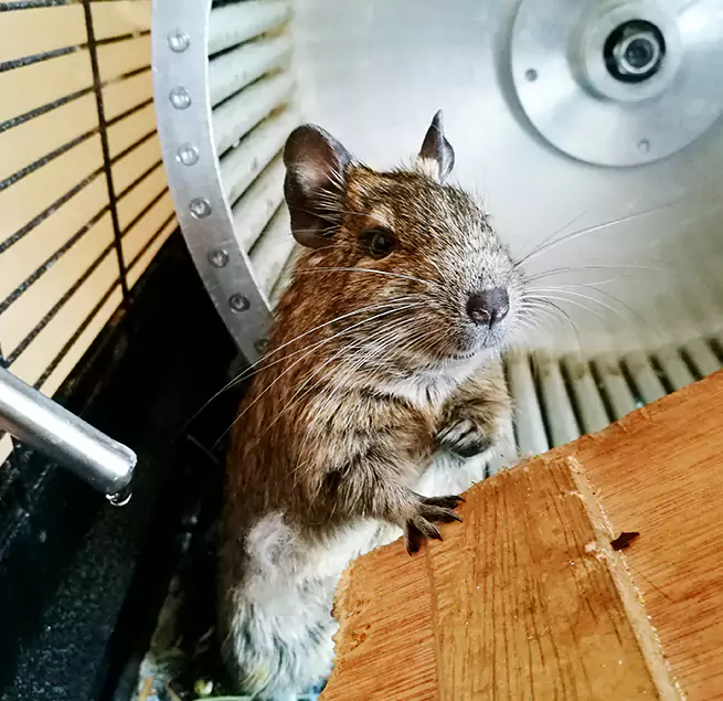 Why Homeowners & Businesses Trust Us Grapevine, TX?