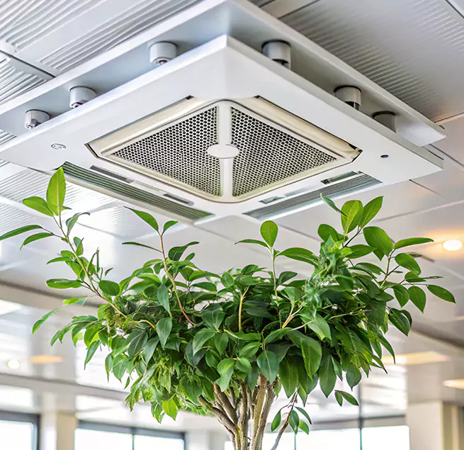 Why Homeowners & Businesses Trust Us in Grapevine, TX