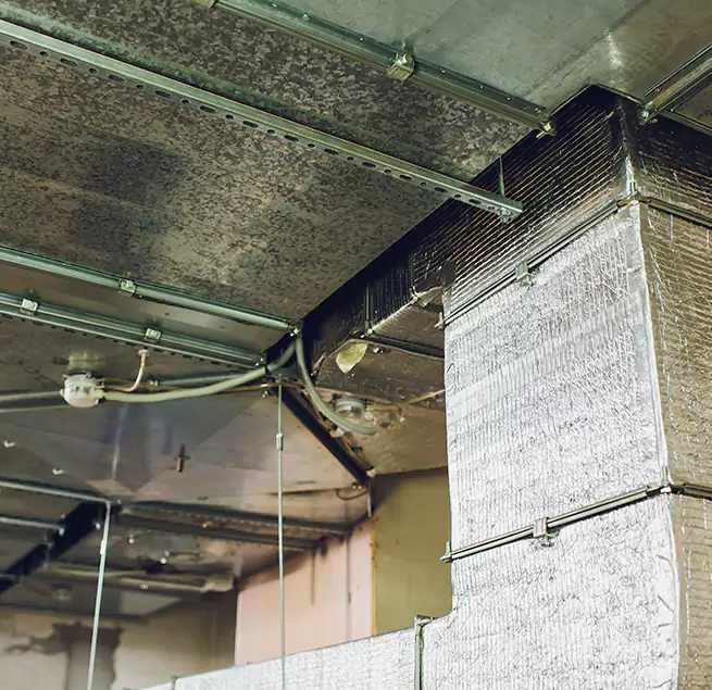 Why Homeowners & Businesses Trust Us in Grapevine, TX?