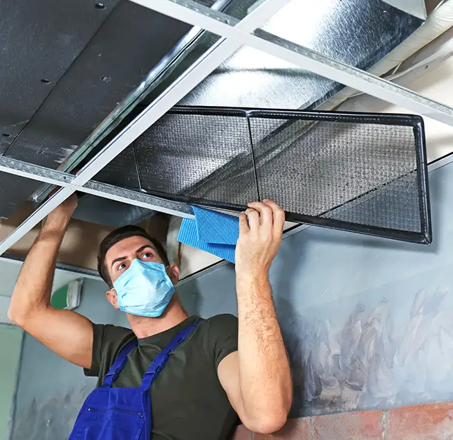 Why Homeowners & Businesses Trust Us in Grapevine, TX?